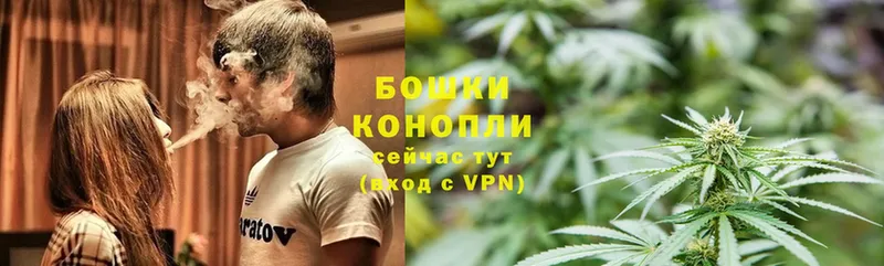 Бошки Шишки индика  купить  цена  Жуковка 